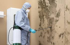 Best Mold Odor Removal Services in Kennedale, TX